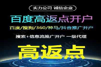 百度竞价广告成功案例：如何实现ROI最大化